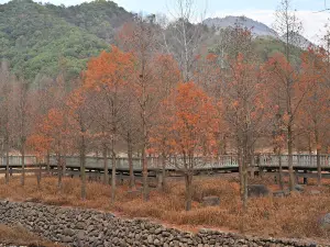 浦江熱門賞秋好去處