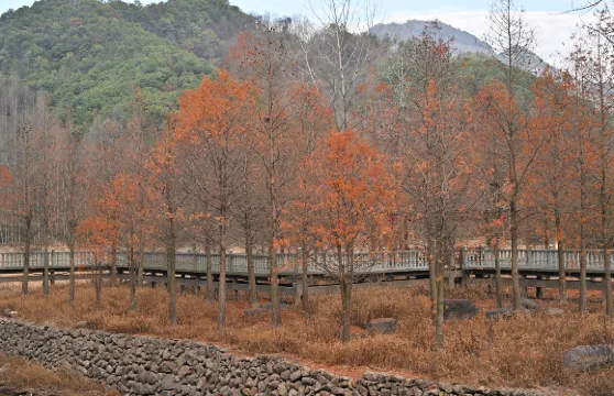 神麗峽景區門票成人