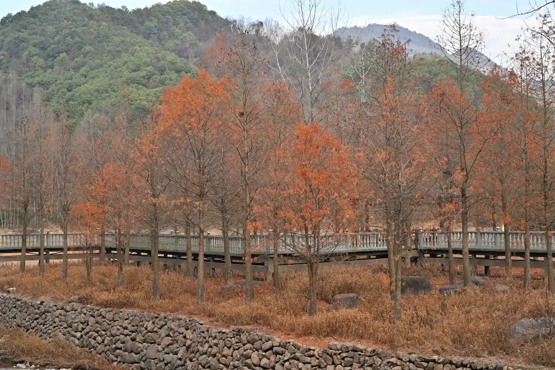 Hotels near Shenlixia