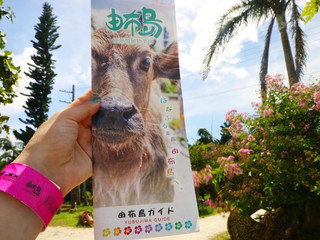 [Yubu Island, Okinawa Prefecture] A remote island with a subtropical botanical garden