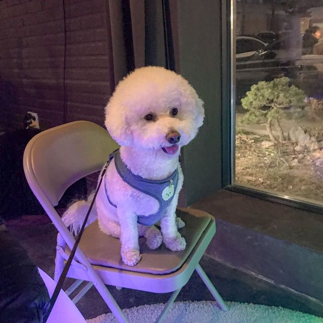 남양주 핫플 브런치 카페 포러데이