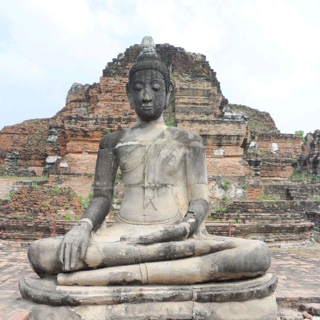 Iconic Buddha Head In Tree Roots