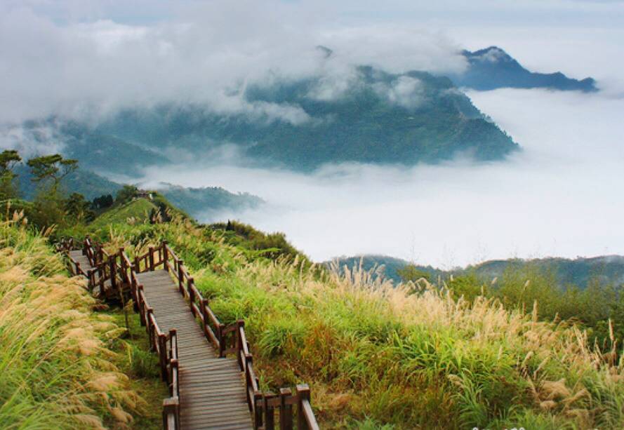 嘉義縣阿里山隙頂雲海上的二延平山步道。圖片來源：Trip.com