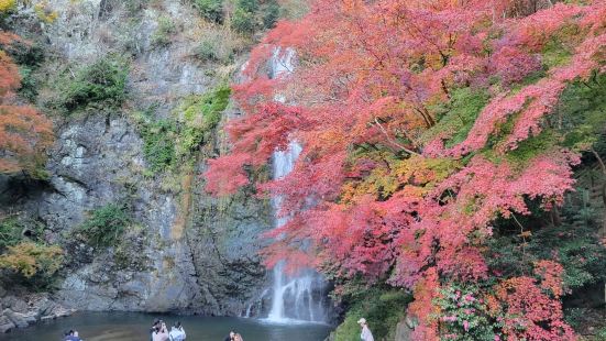 箕面瀑布是大阪府唯一被選為「日本瀑布百選」的瀑布🏞高低落差