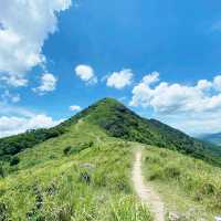 西貢與馬鞍山之間的大金鐘，風景優美，沿路鳥語花香，有山有水