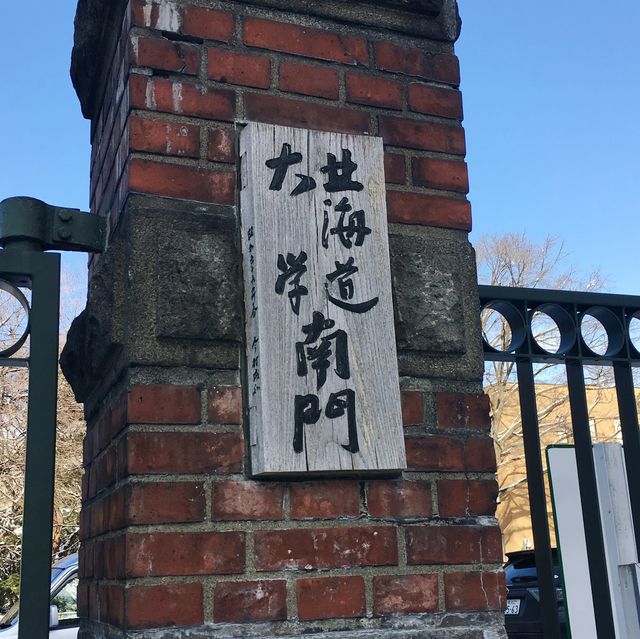 いつかの北海道大学 いつかの北海道大学