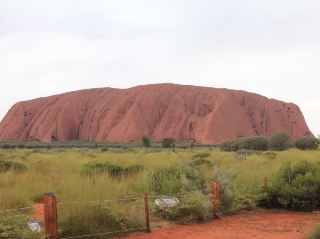 隱密目的地：烏魯魯