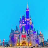ディズニーランド