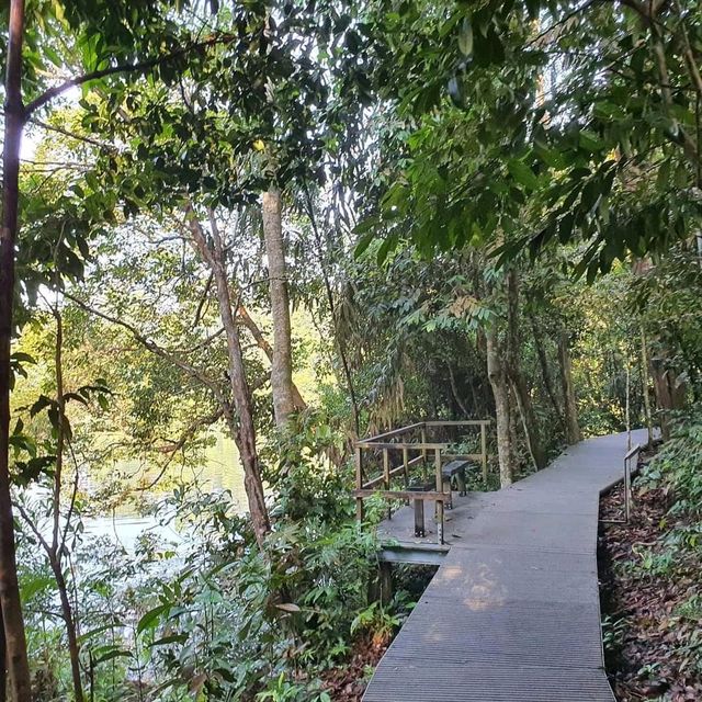MacRitchie Reservoir