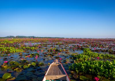 Thale Noi