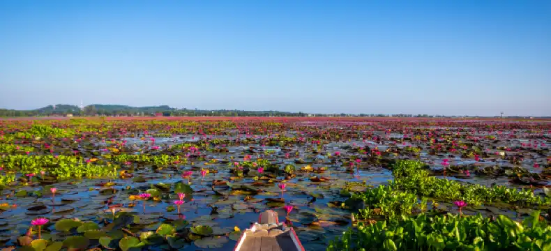 โรงแรมในตำบล ทะเลน้อย