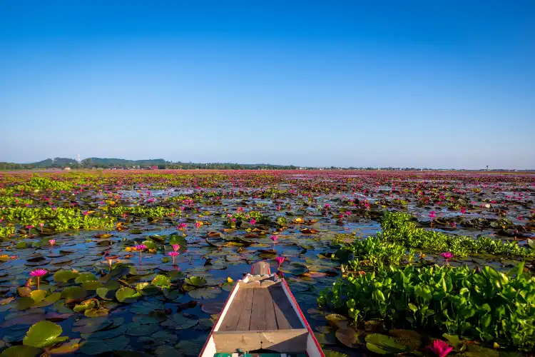 Hotels in Thale Noi