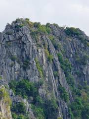 Shizi Mountain Forest Park