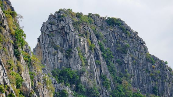 Shizi Mountain Forest Park