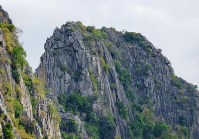 Shizi Mountain Forest Park