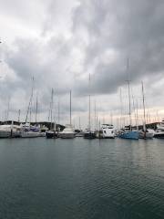 Hobsonville Point Coastal Walkway