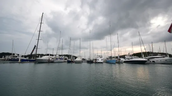 Hobsonville Point Coastal Walkway