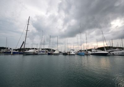 Hobsonville Point Coastal Walkway