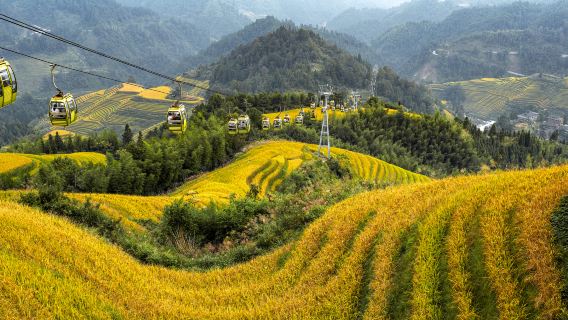 Senderismo en las terrazas de arroz de Longji (excursión de un día desde Guilin)