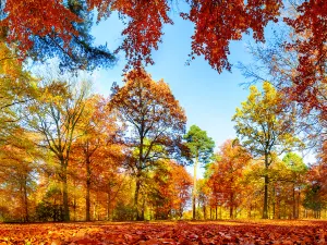 Wuxie Scenic Spot