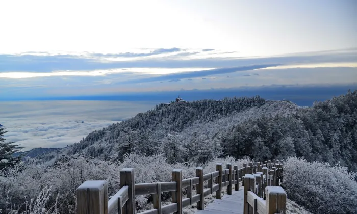 Dayi HITI ALRUO Holiday Resort