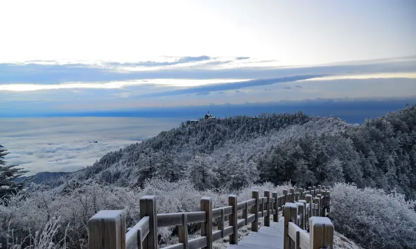 巴中 飛 烏魯木齊