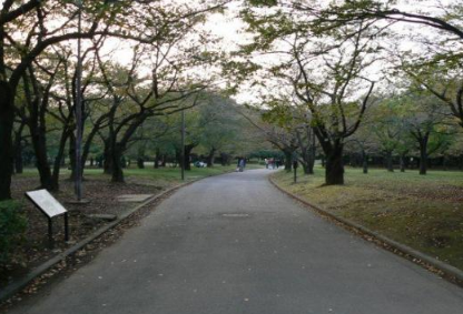 代代木公园是这座繁华现代大都市众多绿洲之一。人们充分利用这里