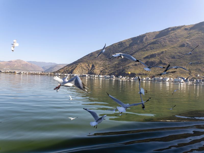 Erhai Lake Cruise