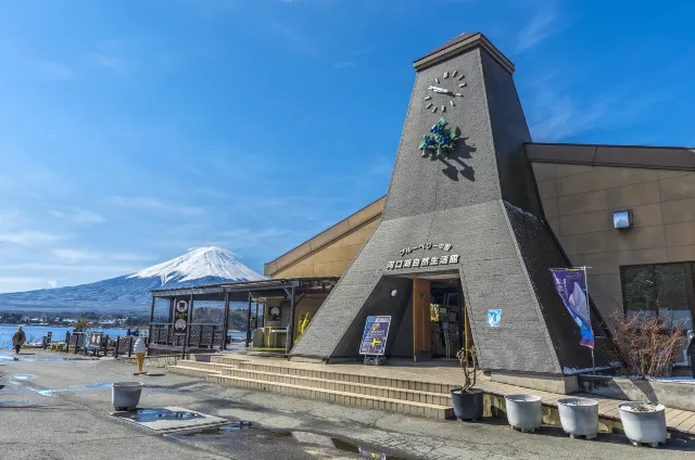 河口湖自然生活館