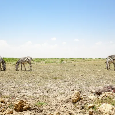 Отели с услугой бассейном в г. Найваша