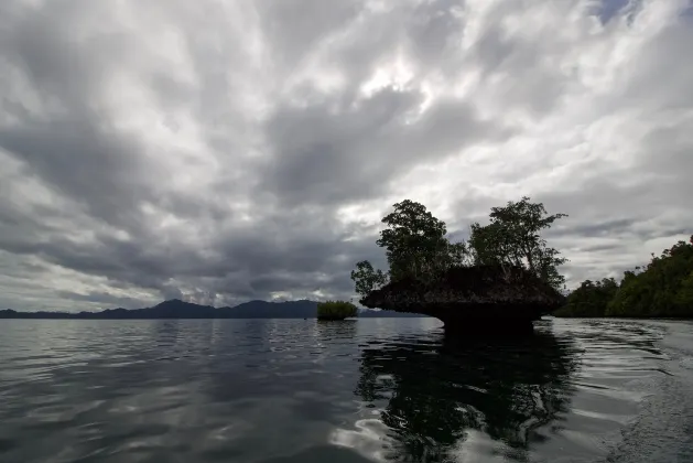 Henann Resort Alona Beach