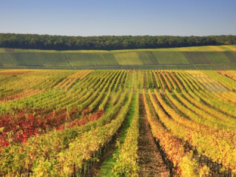 easyJet Bruxelles Bordeaux