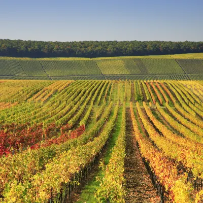 Các khách sạn ở Bordeaux