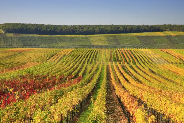 Các khách sạn ở Bordeaux