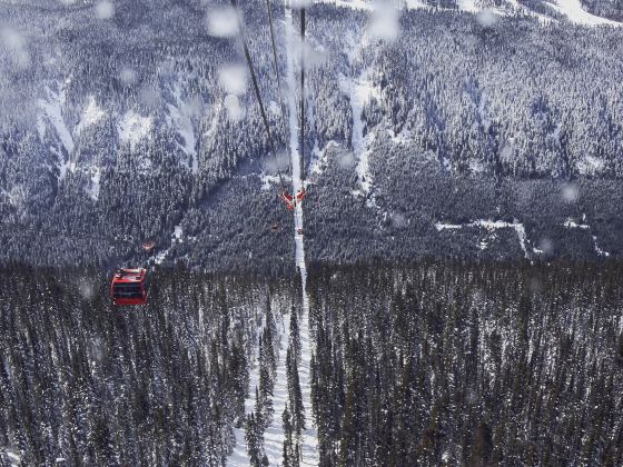 Whistler Blackcomb