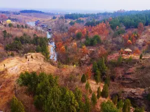 Popular Fall Viewing Attractions in Xinyi