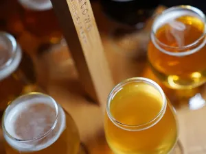 Moeder Lambic Fontainas
