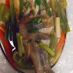 Mara daigaku User Photo