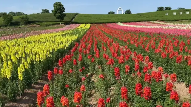 The Flower Town (Huatian Town) in Wuyi