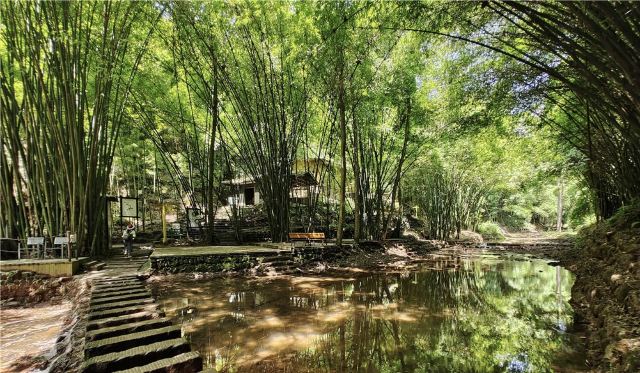 Bamboo Canyon Scenic Area (Jinji Valley)