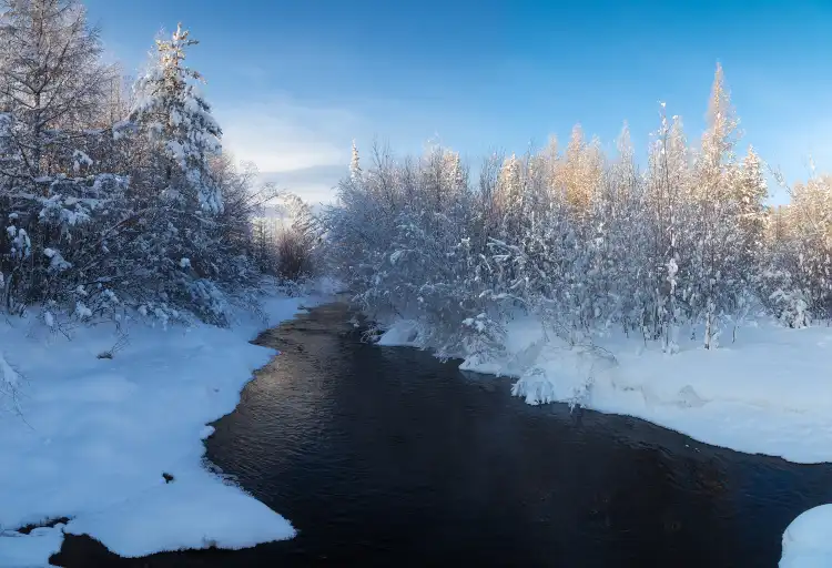무료 와이파이 시설을 갖춘 러시아 사하 공화국 호텔