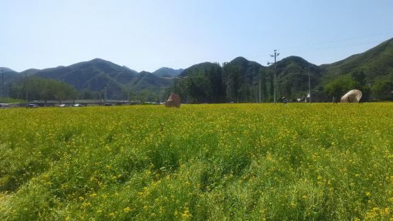 七里峪风景区的风景优美，有着山里风光的无限风情浓郁，吸引着众