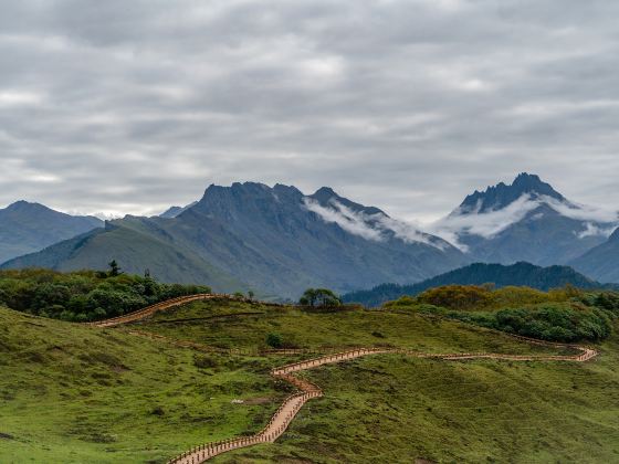 Sichuan Yaan Shenmulei Scenic Spot Car Campsite