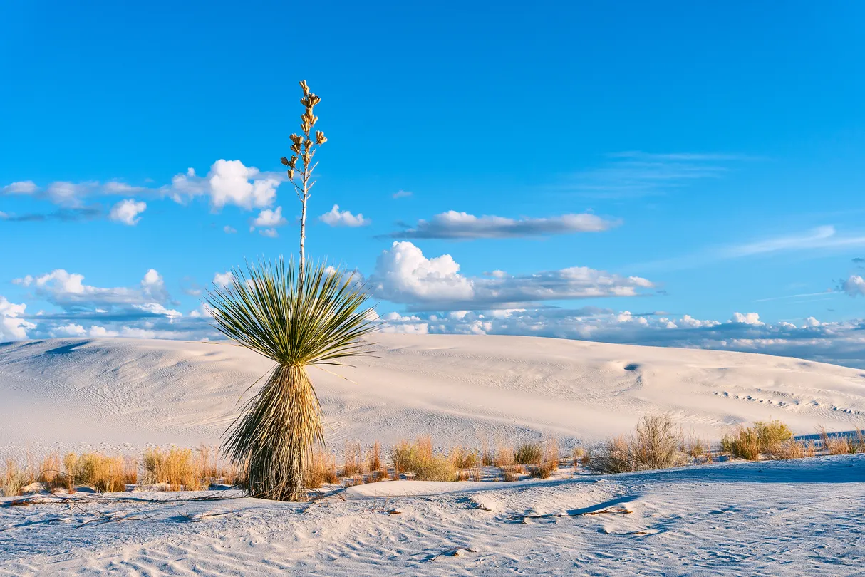 3_White Sands National Park