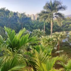 西双版纳洲际度假酒店海鲜傣味烧烤·侬香全日制餐厅 User Photo