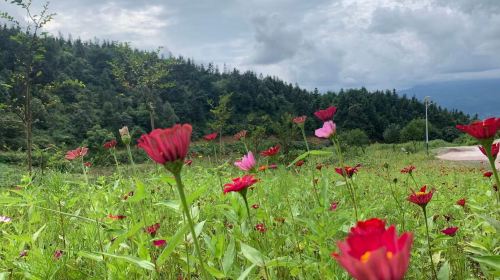 Tongluo Mountain Eco-tourism Resort