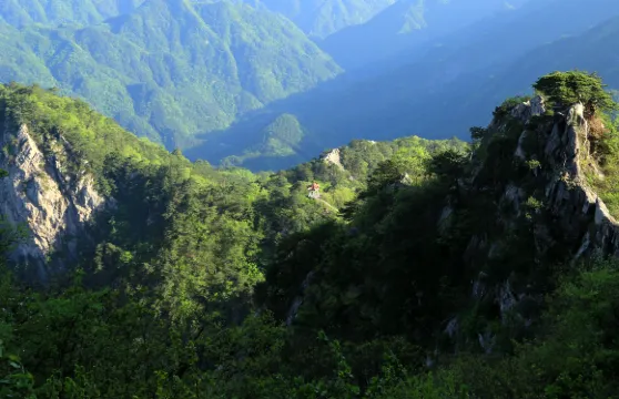 萬佛山門票（包括觀光車服務）成人