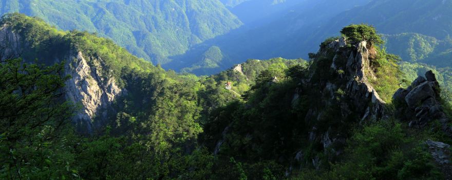 萬佛山