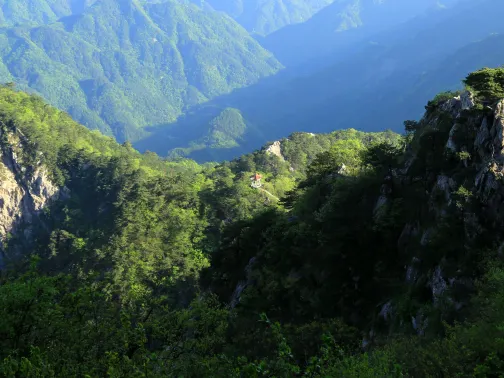 萬佛山