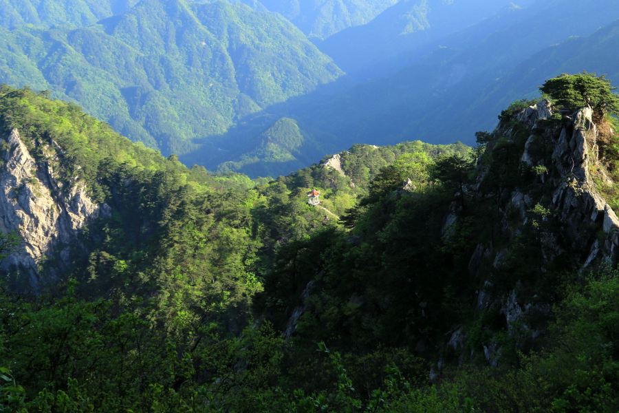 萬佛山